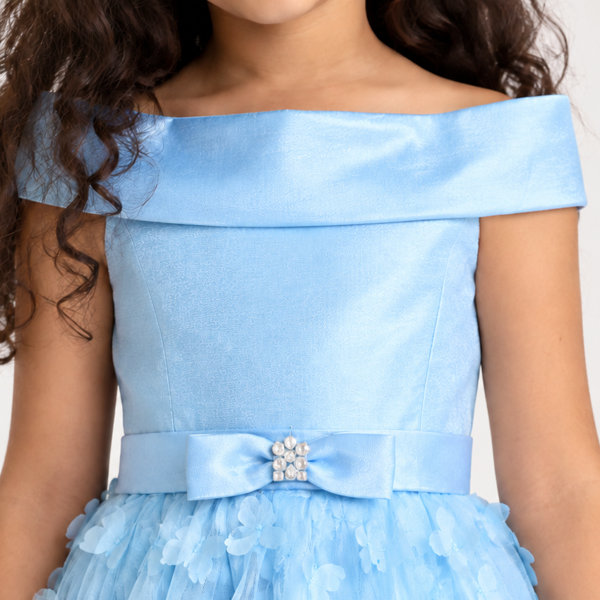 Off-Shoulder Butterfly Appliqué Tulle Party Dress for Girls | Nibblekins