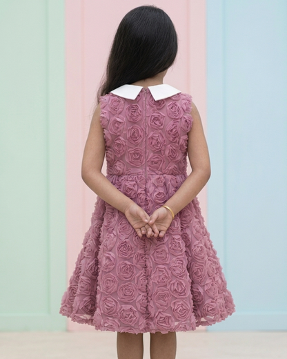 A young girl viewed from behind wearing a sleeveless dusty pink dress with 3D rose texture, a white Peter Pan collar, and matching pink flats, standing against a pastel pink and light blue paneled wall.